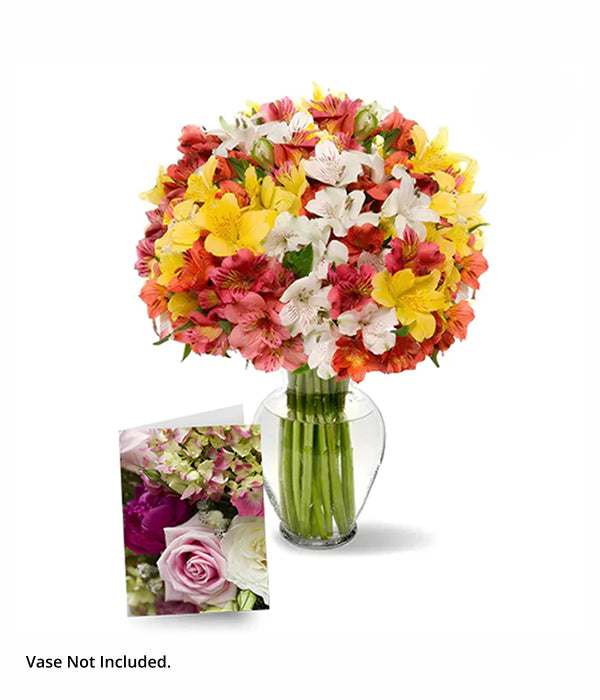 100 blooms of colorful alstroemeria in vase with card.