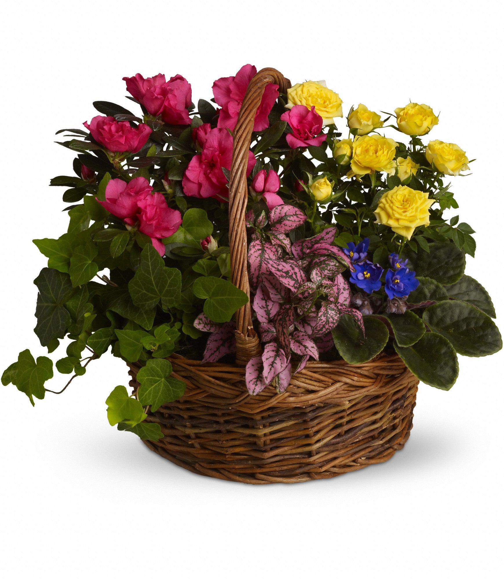 garden basket