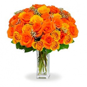 36 Long Stem Orange Roses 