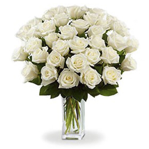 36 Long Stem White Roses 