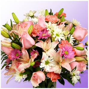 Delectable Pinks 