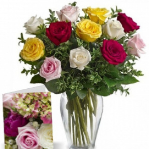 One Dozen Assorted Roses & Card