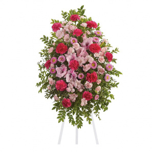 Pink Tribute Spray